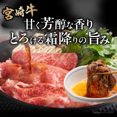宮崎牛ローススライス(計400g) 肉 牛 牛肉 国産_T050-0051