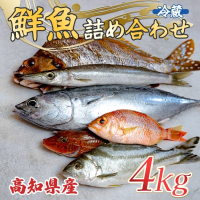 高知県産 鮮魚 詰め合わせ便 4kg  谷鮮魚食堂 刺し身 煮付け 内臓処理済み 産地直送 生魚 