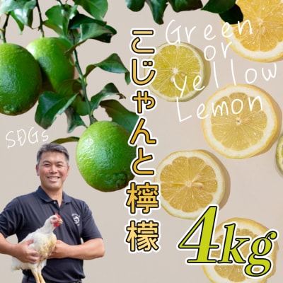 �������ƃ����� 4kg ���Y ���m�� �匎�� ������