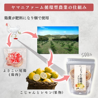 こじゃんとレモン 4kg 国産 高知県 大月町 レモン