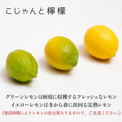 こじゃんとレモン 4kg 国産 高知県 大月町 レモン