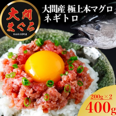 津軽海峡　大間産　極上本マグロ　ネギトロ400g(200g×2パック)