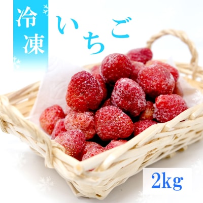 いちご 白木のいちご 旬のおいしさそのまま 冷凍いちご(品種混合) 2kg[No5354-0590]