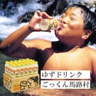 【ゆずドリンク】ゆずとハチミツで作った馬路村公認飲料『ごっくん馬路村』180ml×24本入【450】