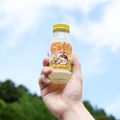 【ゆずドリンク】ゆずとハチミツ馬路村公認飲料『ごっくん馬路村』アルミ缶24本入2箱【454】