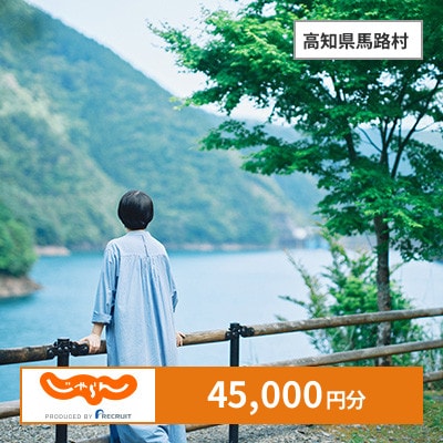 【じゃらんふるさと納税クーポン】 高知県馬路村でつかえる45,000円 クーポン