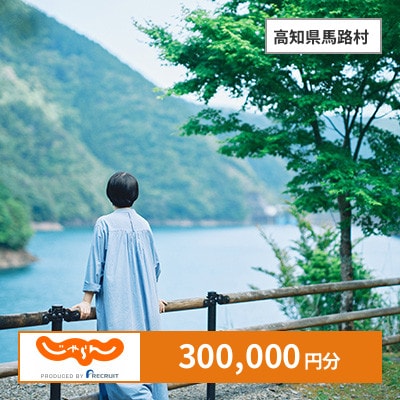 【じゃらんふるさと納税クーポン】 高知県馬路村でつかえる300,000円 クーポン