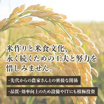 【令和8年産】にじのきらめき 精米 10kg(5kg×2袋)
