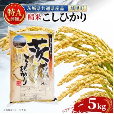 【令和8年産】コシヒカリ 精米 5kg