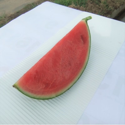 小玉すいか(ピノガール)2個　0030-2608