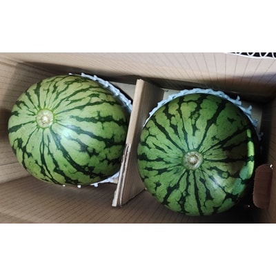 小玉すいか(ピノガール)2個　0030-2608