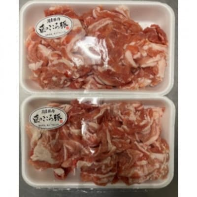 ブランドポーク「匠のこころ豚」切り落とし1kg(500g×2)ふるさと納税限定セット【◎安全・安心】