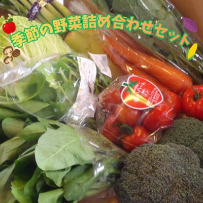 【こころん】 安全・安心 福島の恵み 『季節の野菜詰め合わせ』 セット 新鮮 朝採れ 福島県産