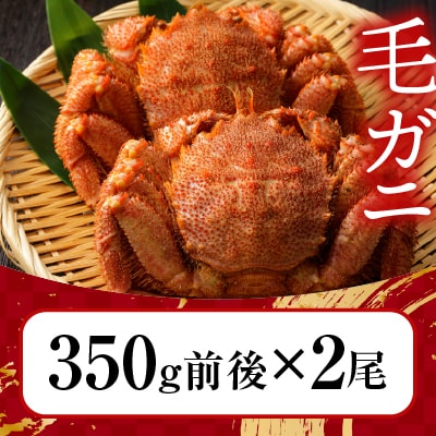 ＜12/21決済分まで年内配送＞ 浜ゆで毛がに350g前後×2尾 A-21001