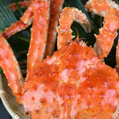 ��12/21���ϕ��܂ŔN���z���� �^���o�K�j���_�|�[�V����1kg D-89007