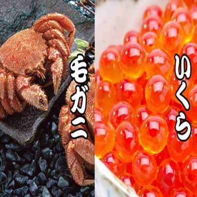 ��12/21���ϕ��܂ŔN���z���� �т��ɁE������ݖ��Ђ��Z�b�g C-36044