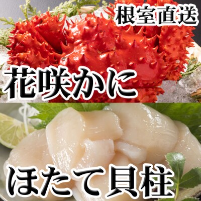 ��12/21���ϕ��܂ŔN���z���� �ԍ炩��300g�O��`450g�O��A�ق���200g A-70063