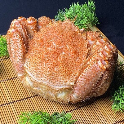 ��12/21���ϕ��܂ŔN���z���� �т���800g�O��×1�� C-21009