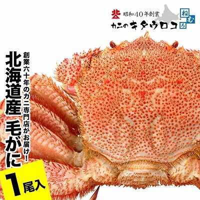 ��12/21���ϕ��܂ŔN���z���� �т���550g�`650g�O��×1�� B-25027