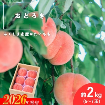 �ł��� ���ǂ낫 ��2kg(5�`7��)�y2026�N���� ��s��t�zNo.2987