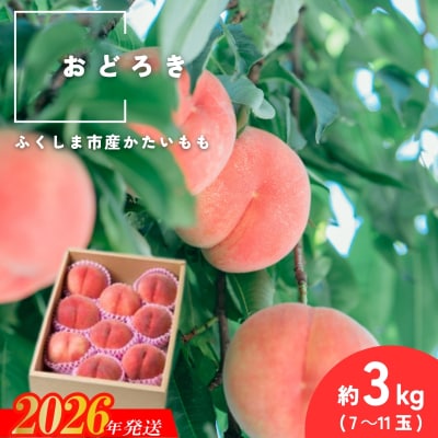  固い桃 おどろき 約3kg(7～11玉)【2026年発送 先行受付】No.2988