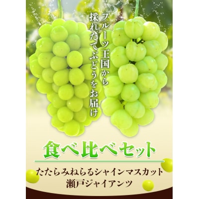 ������݂˂��V���C���}�X�J�b�g+���˃W���C�A���c1.3kg�ȏ�e1�[(2026�N�Y��s��t)