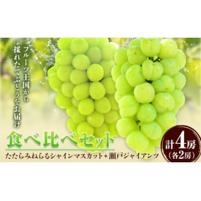 ������݂˂��V���C���}�X�J�b�g+���˃W���C�A���c2kg�ȏ�e2�[(2026�N�Y��s��t)