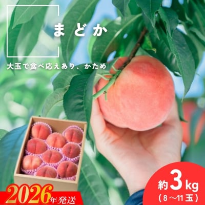  福島県福島市産もも「まどか」約3kg(8～11玉)【2026年発送 先行受付】No.2992