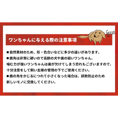 犬用「鹿の角(四つ割り)」Sサイズ×2本[53-1353]