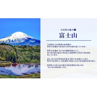 エリア限定 リンガーハット グループ 共通 利用券　1500円(500円×3枚)A7