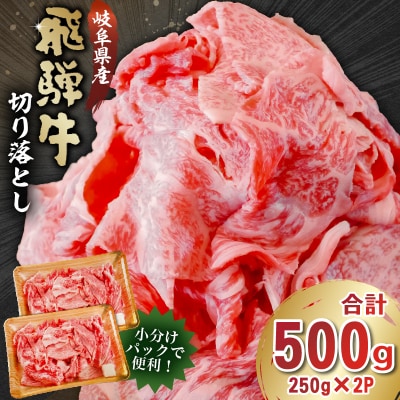 飛騨牛　切り落とし500g(250g×2)