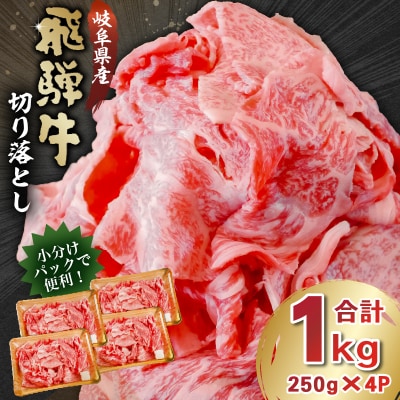 飛騨牛　切り落とし1kg(250g×4)