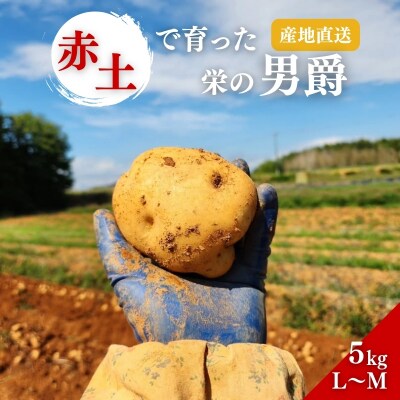 じゃがいも 男爵 5kg 産地直送 野菜 ジャガイモ 芋 赤土 加西市[No5698-2361]