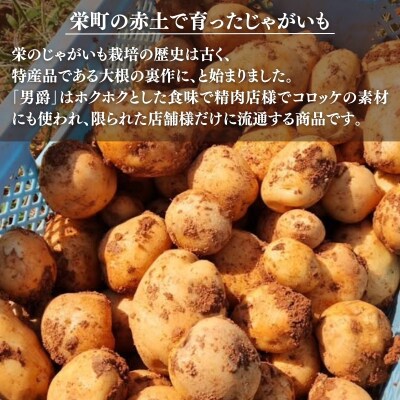 じゃがいも 男爵 5kg 産地直送 野菜 ジャガイモ 芋 赤土 加西市[No5698-2361]