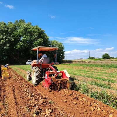 じゃがいも 男爵 5kg 産地直送 野菜 ジャガイモ 芋 赤土 加西市[No5698-2361]