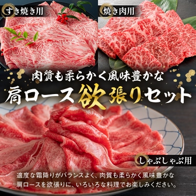 飛騨牛セット　肩ロース(クラシタ)肉(すき焼き用・しゃぶしゃぶ用・焼き肉用)各400g