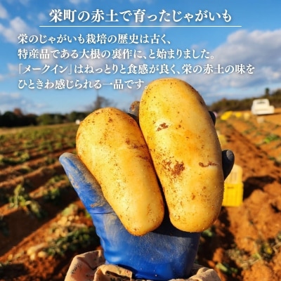 じゃがいも メークイン 5kg 産地直送 野菜 ジャガイモ[No5698-2360]