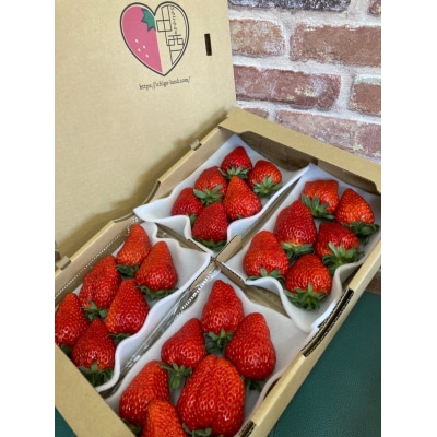 (冷蔵) 朝採り完熟いちご 紅ほっぺ 1120g(280g×4パック)農家直送 静岡県産 1268