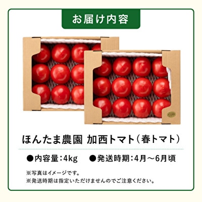 加西市産 ほんたま農園の大玉トマト 4kg(2kg×2箱)[No5698-0994]