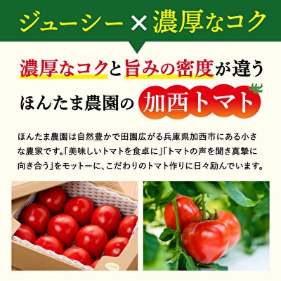 加西市産 ほんたま農園の大玉トマト 4kg(2kg×2箱)[No5698-0994]