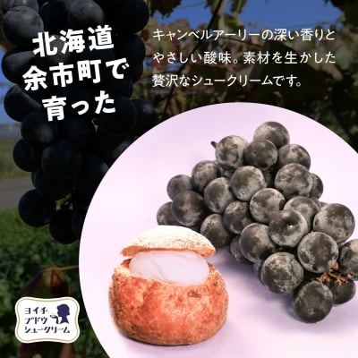 余市産ブドウシュークリーム 10個入り_Y156-0002