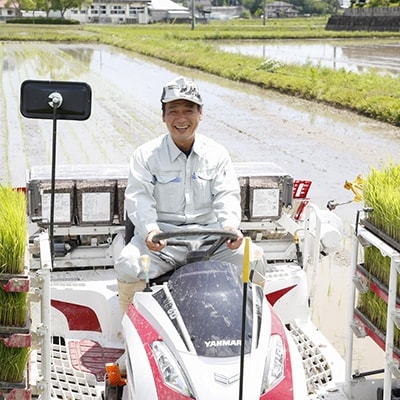 令和7年産 有機・減農薬栽培米キヌヒカリ(白米)4kg[No5698-0613]