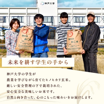 米 【令和7年産】神大のおこめ(特別栽培米ヒノヒカリ)玄米30kg お米[No5698-0847]