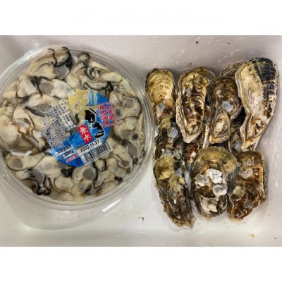 アラジン グラファイトミニグリラー 播磨灘産 生かき セット [No5698-1461]