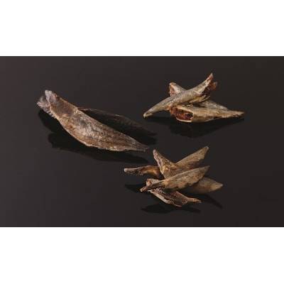 濃い だし 専用 削り節 だしせん 80g×8袋(a10-1109)