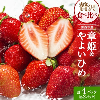 加西市産 いちご「章姫」「やよい姫」食べ比べ 4パックセット[No5698-1212]