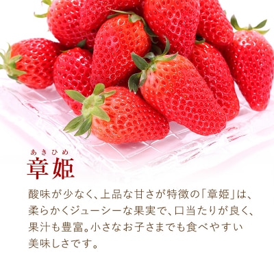 加西市産 いちご「章姫」「やよい姫」食べ比べ 4パックセット[No5698-1212]