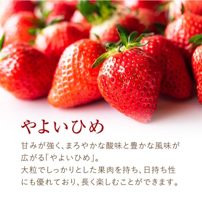 加西市産 いちご「章姫」「やよい姫」食べ比べ 4パックセット[No5698-1212]