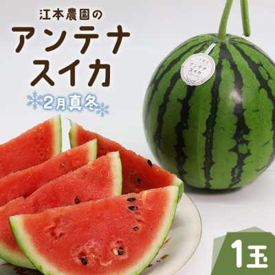 �y���Ԍ���z�]�{�_����2���^�~�A���e�i�X�C�J1�� em-0016