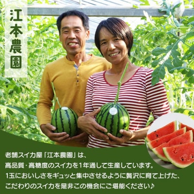 【期間限定】江本農園の2月真冬アンテナスイカ1玉 em-0016